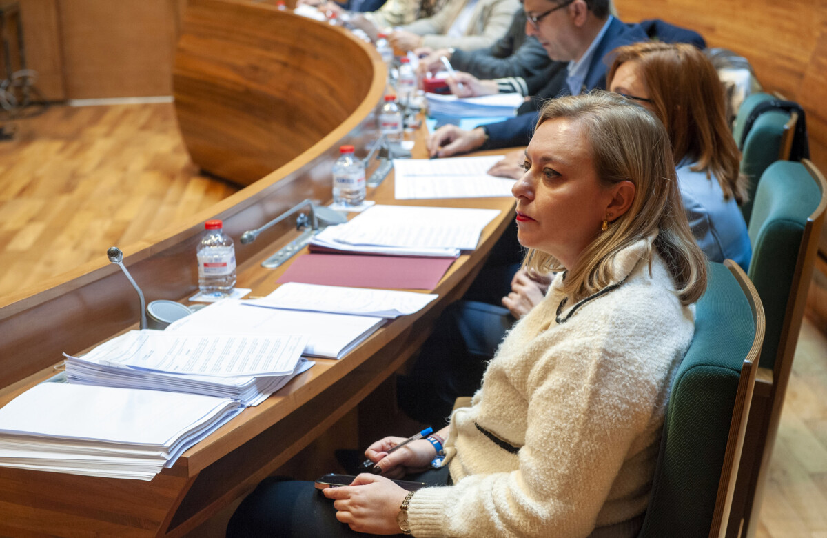 Natalia Enguix pleno diputación de valència enero 2024